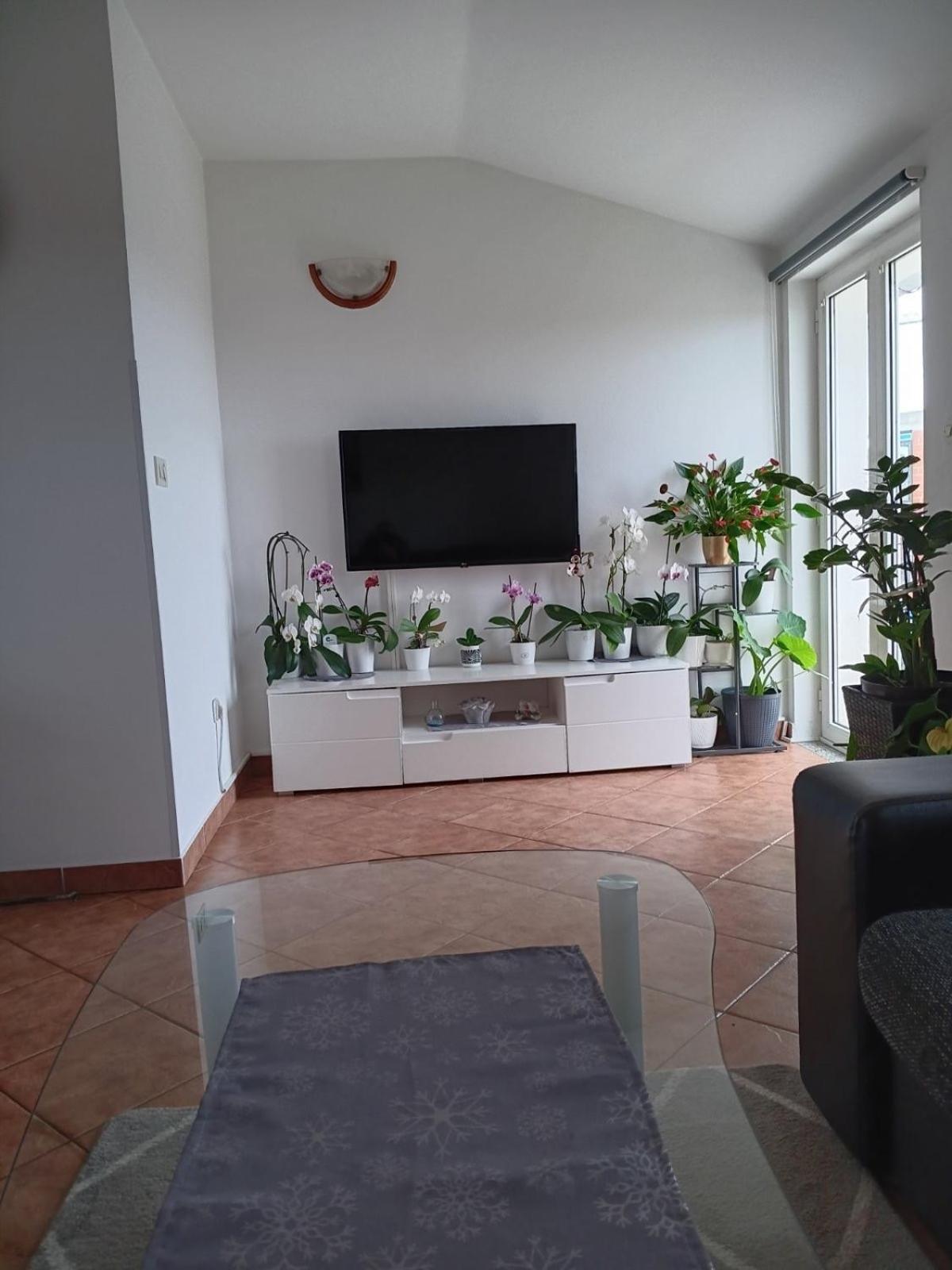 Apartman Sara Ровинь Экстерьер фото
